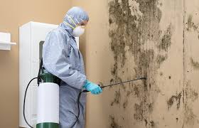 Best Water Damage & Mold Remediation in Greenwood, DE